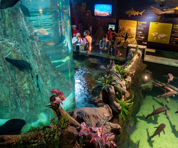 Untitled design (32)