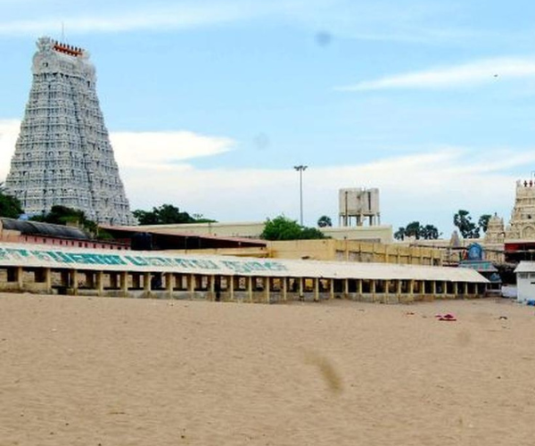 Untitled design (49)