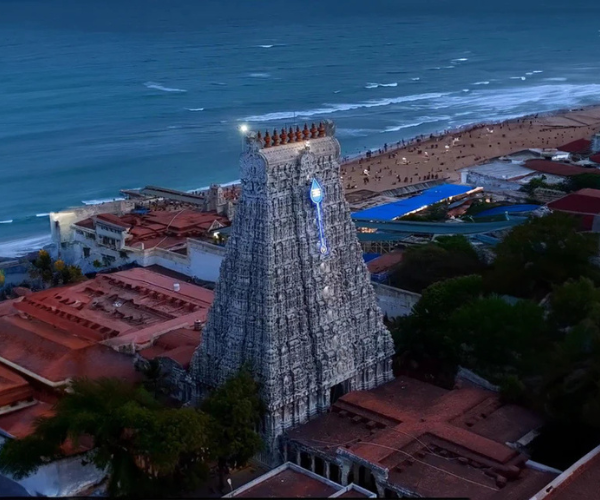 Untitled design (50)