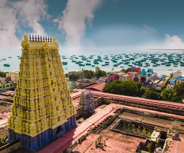 Untitled design (51)