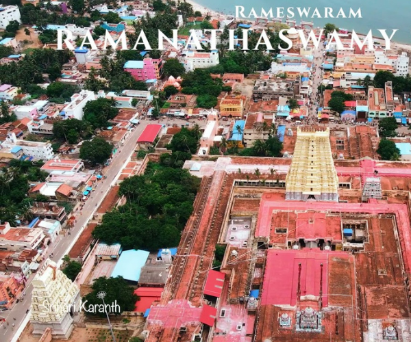 Untitled design (52)