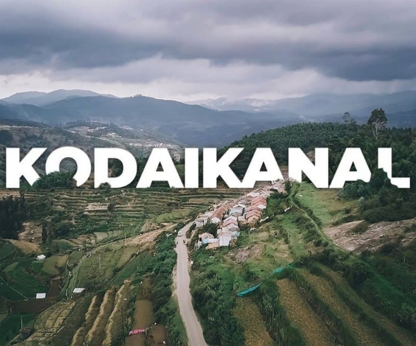 Untitled design (53)