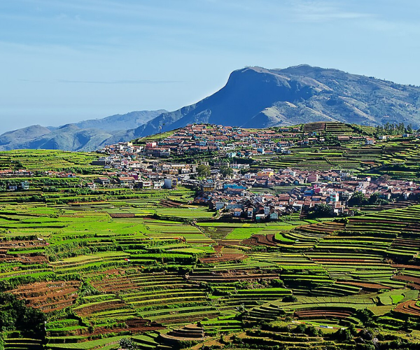 Untitled design (54)