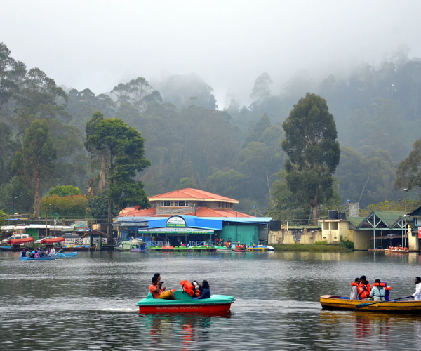 Untitled design (55)