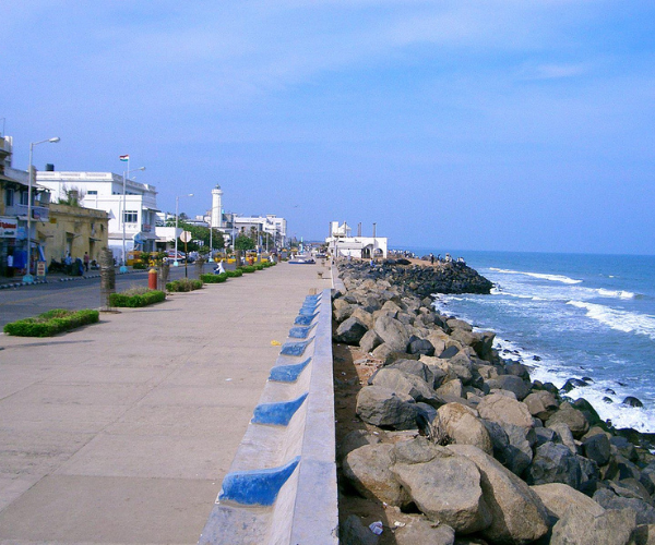 Untitled design (60)