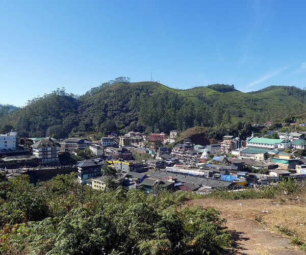 Untitled design (61)