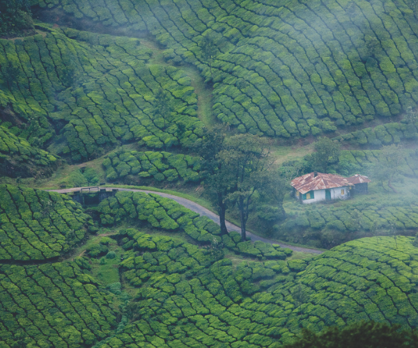 Untitled design (62)