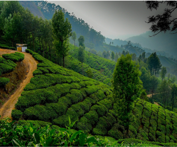 Untitled design (63)