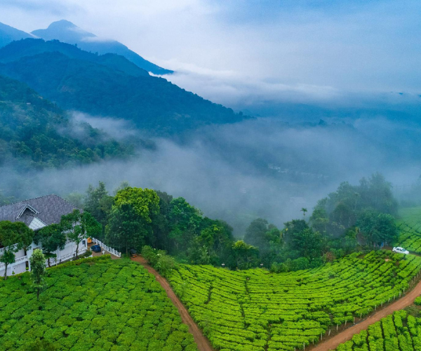 Untitled design (64)